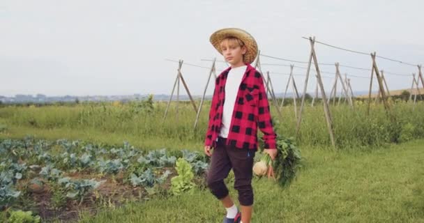 Çocuk Tarlada Yürüyor Sepetten Sağlıklı Yetişmiş Yiyecekler Tutuyor Onları Zevkle — Stok video