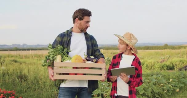 年轻的农夫站在女巫儿子那里检查平板电脑上的信息 帽子农学家的工人们拿着木箱在田里用数字平板电脑 生活方式农业企业 — 图库视频影像