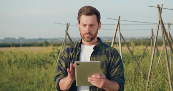 大規模な野菜農場で野菜を監視するデジタルタブレットを使用した農家 男性のアグロニストに焦点を当てる 茶業界における有機スマート農業とデジタル農業 スローモーション — ストック動画