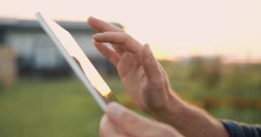 Gün batımında dijital tabletle çalışan çiftçi iş adamlarına yakın durun. Adam tarımcı tablet tıkırtı ekranı kullanıyor, hasat etmeyi planlıyor. Çiftçilik sektöründe yetişen taze tarlaları düşünün. Yavaş
