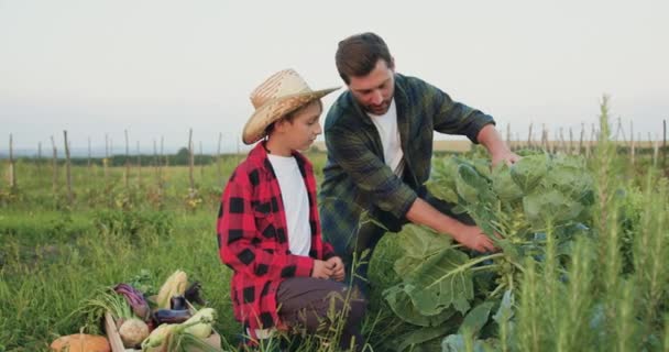 快乐的家庭 儿子在夏天的种植园里收割庄稼 农夫的父亲和他的小儿子一起在蔬菜地里干活 孩子在种种子 家族企业 慢动作 — 图库视频影像