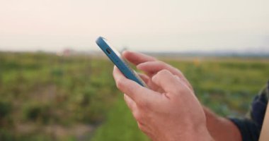Çiftçi ellerinin notlar alması ve günbatımında rüzgarlı havada bitkilerle birlikte sebze tarlasında akıllı telefondan bilgi araması yapması. İşadamı hemen ürün satmak için online anlaşma yaptı.