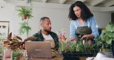 Çiçekçi dükkanında çalışan ve dizüstü bilgisayarda yazan önlüklü Afro-Amerikan kadın ve erkek çiçekçiler. İnternetten çiçek ya da bitki siparişi kabul eden bir aile.