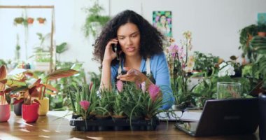 Önlüklü mutlu Afrikalı Amerikalı kadın cep telefonuyla müşteriyle konuşuyor ve dizüstü bilgisayar kullanarak çiçekçiye bakıyor. Çiçekçiden çiçek siparişi veren kadın.
