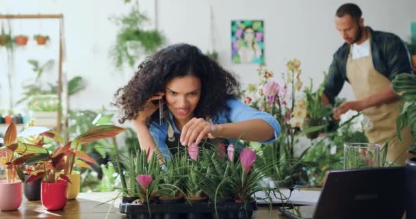 Afrikanisch Amerikanische Mitarbeiterin Eines Blumenladens Sitzt Tisch Und Telefoniert Mit — Stockvideo