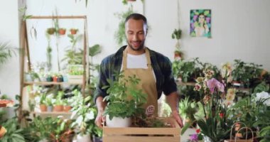 Önlüklü Afro-Amerikan bir adamın portresi modern çiçekçi dükkanında elinde kameraya gülümseyen saksı kutusuyla dikiliyor. İnsanlar ve iş kavramı. Yavaş çekim.