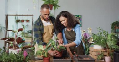 Birlikte çalışan aile çifti gülümsüyor ve beşlik çakıyor. Çiçekçi kadın çiçekçiyle çiçekçide ilgileniyor. Çekici bir Afrikalı Amerikalı çiçekçi olarak çiçekçide çalışıyor.