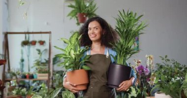 Neşeli, profesyonel bahçıvan Afro-Amerikan kadın çiçekçinin portresi. Önlük takan, çiçekçi dükkanında çiçek tutan ve kameraya gülümseyen kadın. Yavaş çekim.