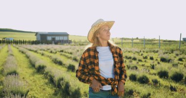 Farm worker woman wearing hat walks on lavender field early spring at sunset. Blonde caucasian female works on farmland outdoors. Farmer agronomist tends to berry farm, controls growth of organic clipart