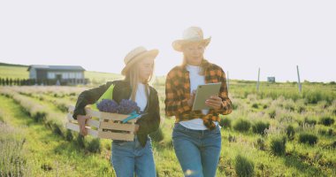 Anne ve kız çiftçi buğday tarlasında birlikte çalışarak hasatı tartışıyor. Dijital tabletli çiftçi, deneyimini genç uzman ve transfer deneyimiyle paylaşıyor. Küçük aile şirketi