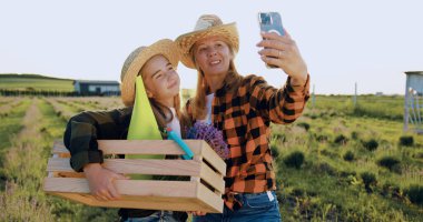 Mutlu aile çiftçisi anne ve Doug lavanta tarlasında akıllı telefondan selfie çekiyorlar. Doğa seyahati ve iyi aile ilişkileri. Çiçek üretimi küçük işletme.