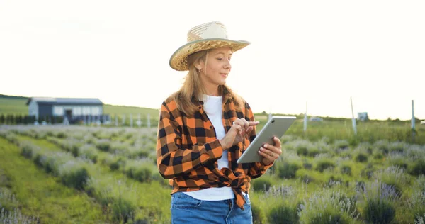 Technology of modern agriculture concept. Woman farmer with computer tablet evaluates harvest, green wheat sprouts in field. Working on farm with digital tablet in agriculture. Technology.