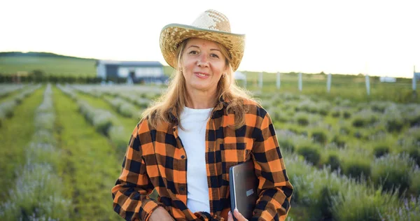 Çiftçi kadının portresi arazide çalışıyor, kameraya bakıyor ve gülümsüyor. Lavanta tarlasında dikilmiş dijital tableti olan çiftçi. Akıllı teknolojiler. Küçük aile şirketi konsepti.