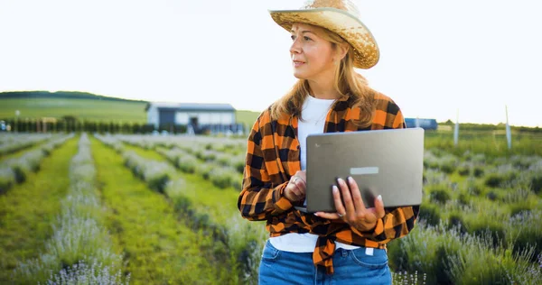 Woman farmer in hat holding laptop and checking data on harvest field and sunset background of organic agriculture in rural. Businesswoman using computer working control quality and process of
