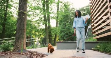 Gözlüklü, sıradan kıyafetler giymiş yeşil şehir parkında köpeğini tasmayla gezdiren ve elinde tablet tutan genç bir kadın. Yavaş çekim