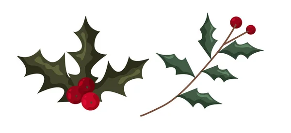 Baga Natal Holly Ramo Floral Vermelho Xmas Inverno Decoração Natal — Vetor de Stock