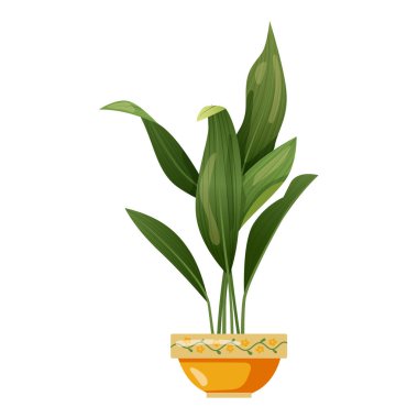 Saksıda yetişen bitkiler. Güzel ev dekorasyonları, beyaz arka planda izole edilmiş bitkiler. Çizgi film düz çizimi