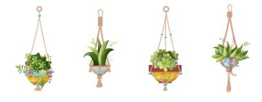 Saksıda yetişen bitki ve makrome bitkisi. Beyaz arka planda el yapımı makrome bitkileri var. Çizgi film düz çizimi