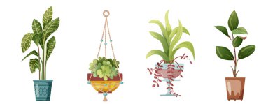 Saksıda yetişen bitki ve makrome bitkisi. Beyaz arka planda el yapımı makrome bitkileri var. Çizgi film düz çizimi