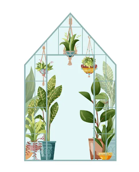 Serada büyüyen ev bitkisi ve makrome bitkisi. Beyaz arka planda izole edilmiş sera ve makrome bitkileri. Çizgi film düz çizimi