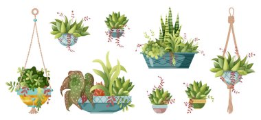 Saksıda yetişen bitki ve makrome bitkisi. Beyaz arka planda el yapımı makrome bitkileri var. Çizgi film düz çizimi