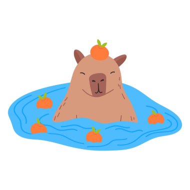 Capybara düz dizaynlı komik bir karakter. Mandarin vektör illüstrasyonuyla suda yüzen sevimli Capybara