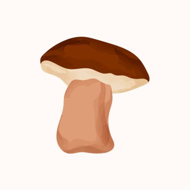 Sonbahar suluboya vektör mantar porcini, el boyası, botanik doğruluğu şirin ve samimi bir dokunuşla harmanlıyor. Planlamacılar, klip paketleri ve orman temalı dekorasyonlar için harika..