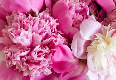 Floral pattern made of pink peonies. Flat lay, top view. Valentines background. Floral pattern. The pattern of flowers flowers pattern texture.