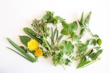 Edible plants collection isolated on white background. Food concept.