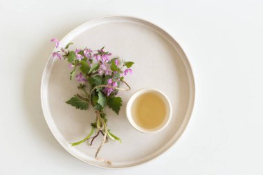 Lamium amplexicaule 'e yakın çekim, yaygın olarak bilinen adıyla tavşan, veya daha büyük tavşan, toprak tabakası ve çay çiçekli fincan.