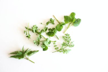 Edible plants collection isolated on white background. Food concept.