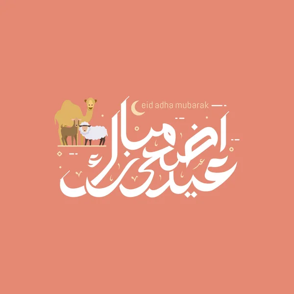 Eid Adha Χαριτωμένη Καλλιγραφία Εορτασμός Των Μουσουλμανικών Εορτών Θυσία Καμήλας — Διανυσματικό Αρχείο