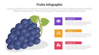 meyve taze ve sağlıklı üzüm bilgi grafiği şablonu 3 nokta adım yaratıcı tasarım slayt sunum vektörü