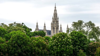 Austria, Vienna, Europe, City Hall, clipart