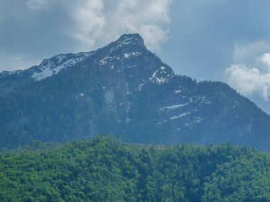 Avusturya, Salzburg, Avrupa, arkasında dağ olan bir ağaç.