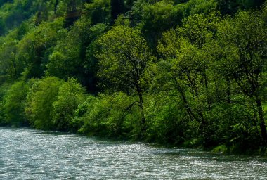 Avusturya, Salzburg, Avrupa, bir su kütlesinin içinden akan bir nehir.