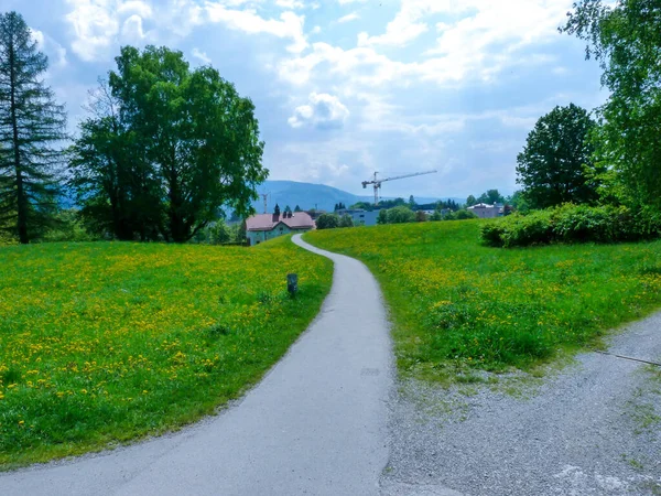 オーストリア ザルツブルク ヨーロッパ 緑の芝生のフィールドを流れる川 ロイヤリティフリーのストック画像