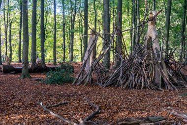 Hollanda, Lahey, Haagse Bos, Avrupa, ormandaki orman