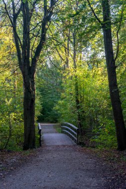 Netherlands, Hague, Haagse Bos, Europe, bridge leading to a walking path clipart