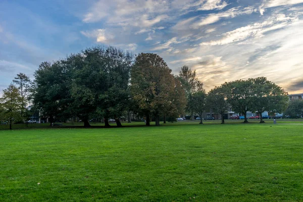 Hollanda, Lahey, Haagse Bos, Avrupa, arkasında ağaçlar olan büyük yeşil bir alan