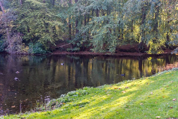 Hollanda, Lahey, Haagse Bos, Avrupa, ormanda gölet