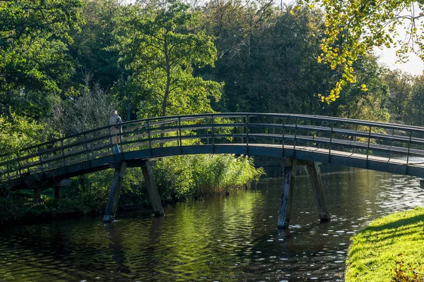 オランダ ハーグ ハーゲスボス ヨーロッパ 水の体の上の橋 ロイヤリティフリーのストック写真