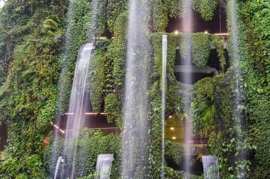 Singapur, Asya, Güneydoğu Asya, Körfez kenarındaki Bahçeler,