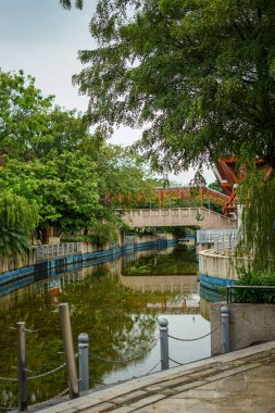 Singapur, Asya, Güneydoğu Asya, çitin yanında bir ağaç