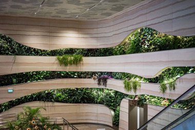Singapur, Asya - 15 Nisan 2024: Singapur, Asya 'da Changi havaalanı iç dekorasyonu