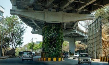 Hyderabad, Telangana - 27 March 2022: under the cable bridge flyover at Cyberabad Hyderabad, Telangana, nIndia clipart