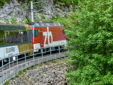 İsviçre, Meiringen - 31 Mayıs 2009: İsviçre, Avrupa 'da GoldenPass Panoramik treni