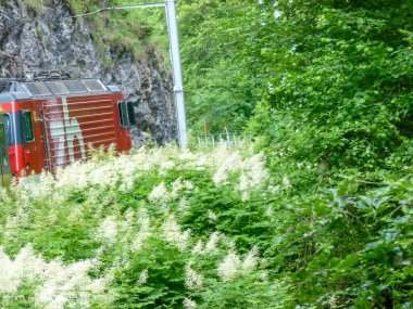 İsviçre, Meiringen - 31 Mayıs 2009: İsviçre, Avrupa 'da GoldenPass Panoramik treni