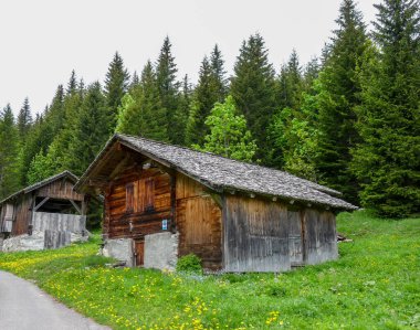 İsviçre, Meiringen, Schwarzwaldalp, arka planda ağaçlar olan eski bir ev.