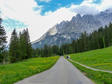 İsviçre, Meiringen, Schwarzwaldalp, dağ yolunda ağaçların olduğu bir patika.